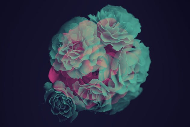 15款优雅花卉图案PS笔刷 Elegant Flower Brushes for Photoshop插图(7)