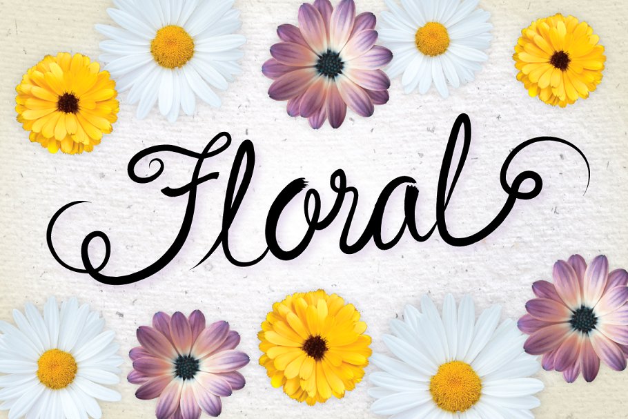 手写字母AI笔刷 Hand Lettering Brushes插图(4)