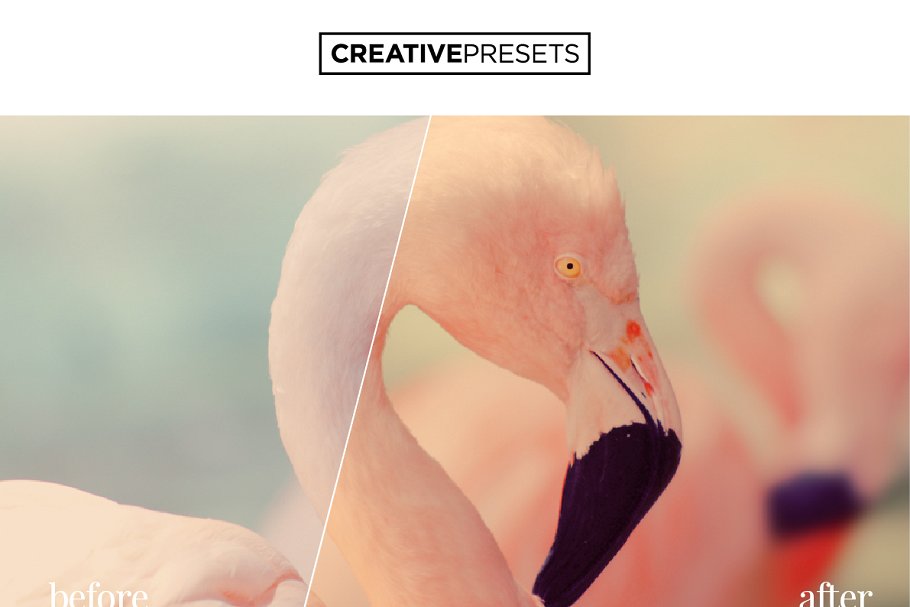 照片后期处理柔和色调LR调色预设 Pastel Tones Lightroom Presets插图(5)