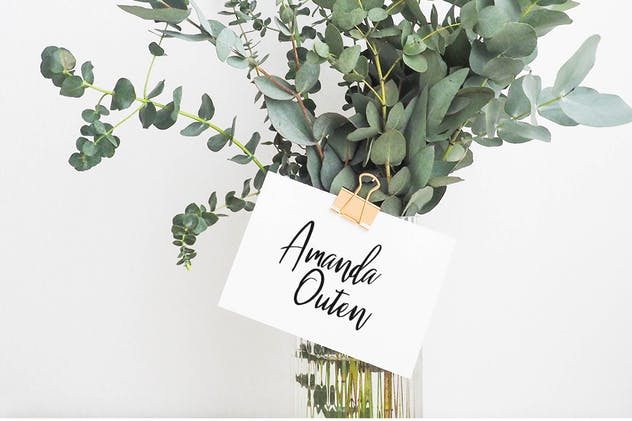 时尚英文手写字体下载 Malenna Script插图(5)