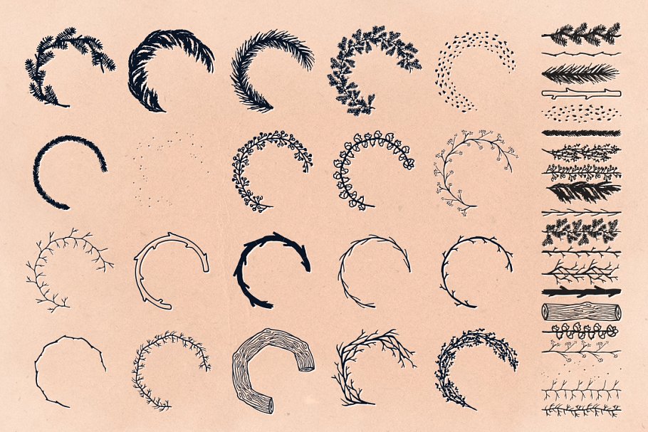 嫩枝树枝插画AI笔刷 Twig & Pine Illustrator Brushes插图(2)