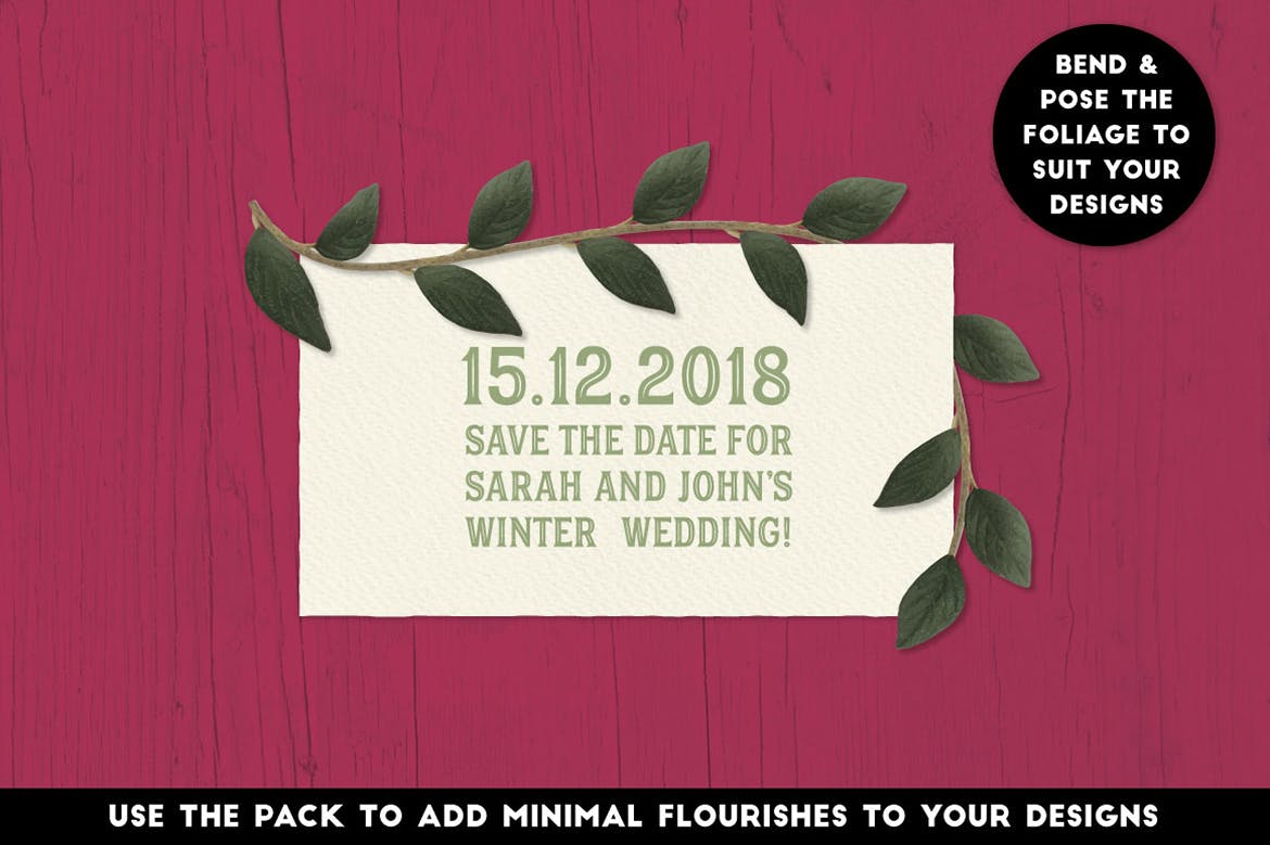逼真植物花卉图案AI笔刷 The Vector Florist – Brushes: Winter插图(3)