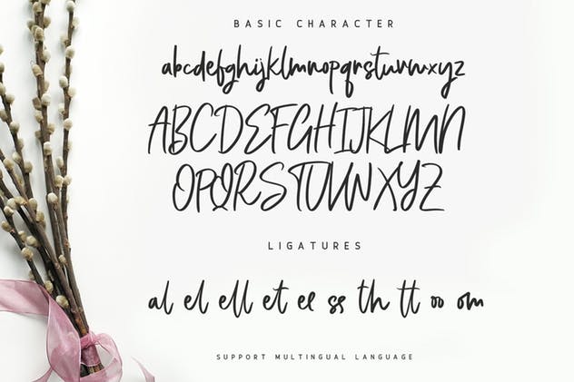 个性独特英文手写书法字体 Bellevue // A Traveler Script Font插图(5)