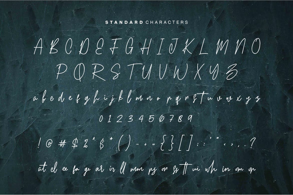 优雅流畅英文钢笔签名字体下载 Marlissa – Signature Font插图(4)