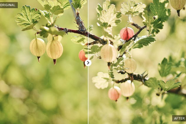 春季风景人像照片后期处理LR调色滤镜 Spring Lightroom Presets插图(8)