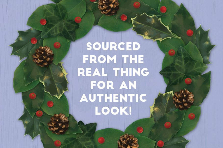 圣诞节矢量花卉AI笔刷 The Vector Florist – Brushes: Winter插图(7)