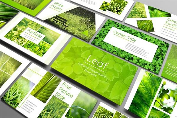 绿叶清新PowerPoint演示模版