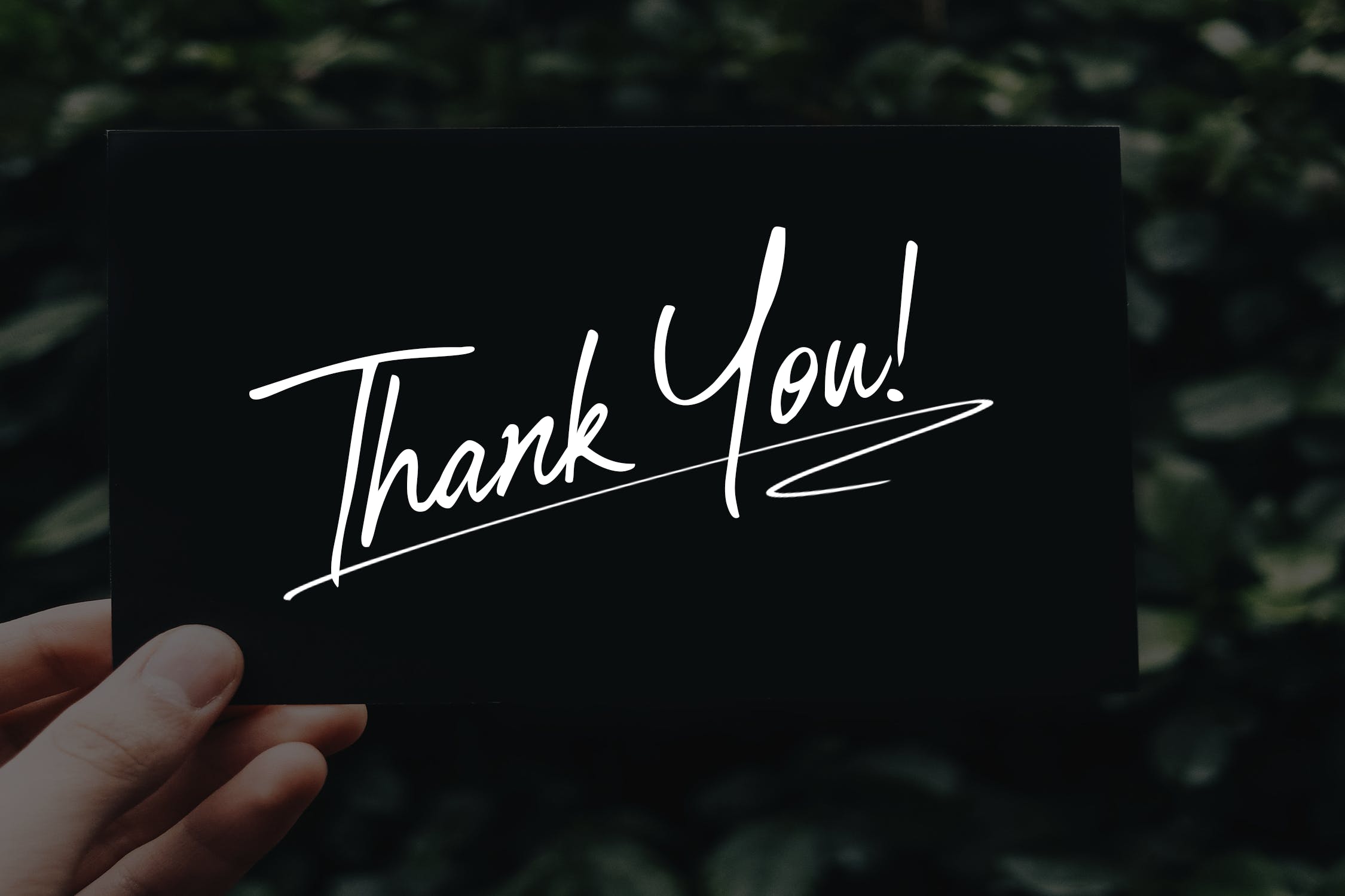 时尚英文手写草书字体下载 Beauty City插图(6)