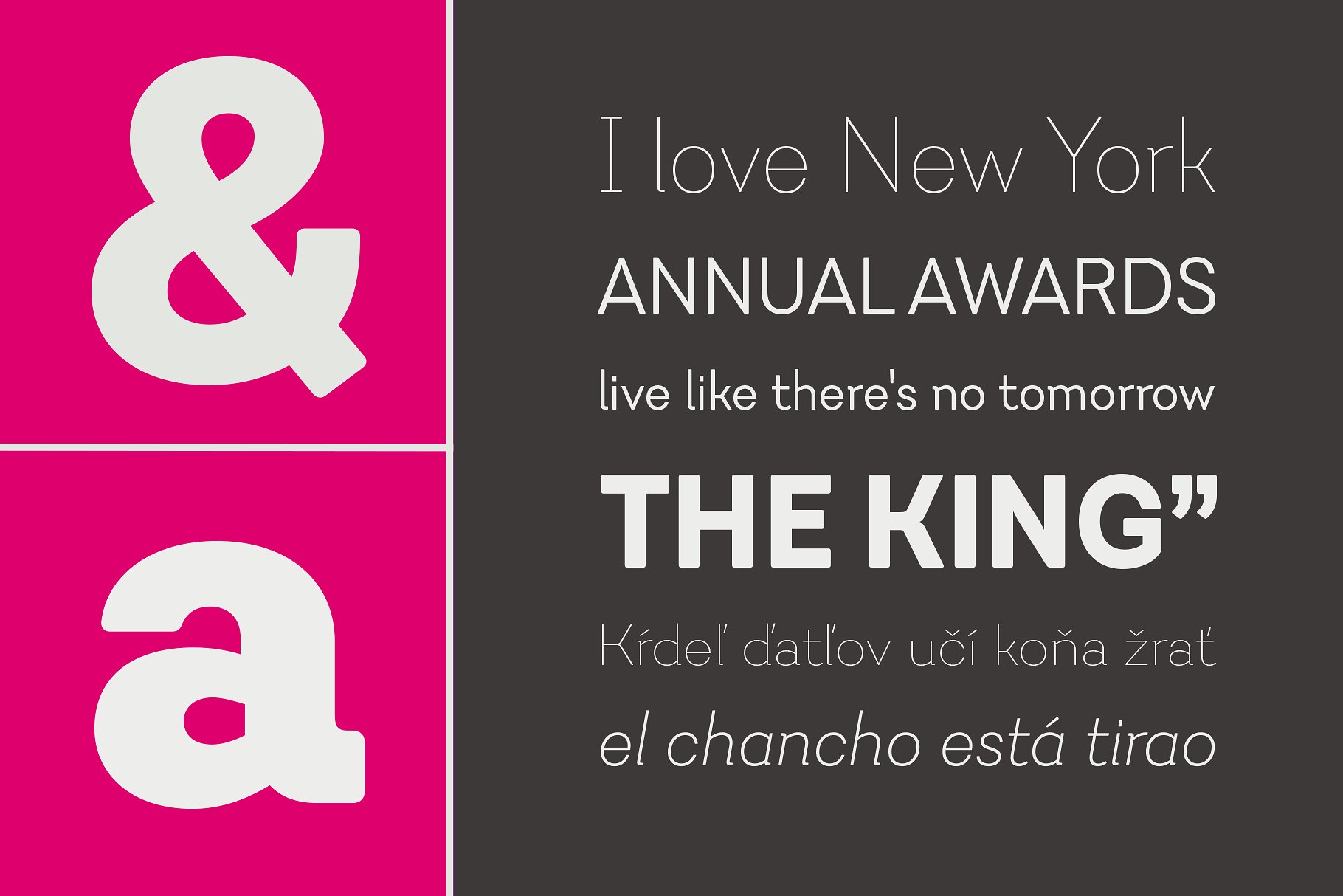 品牌设计/印刷排版适用的几何无衬线英文字体 Javiera插图(11)