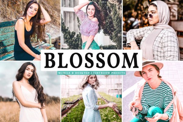 粉色暖色系照片风格滤镜素材库精选LR预设 Blossom Mobile &amp; Desktop Lightroom Presets