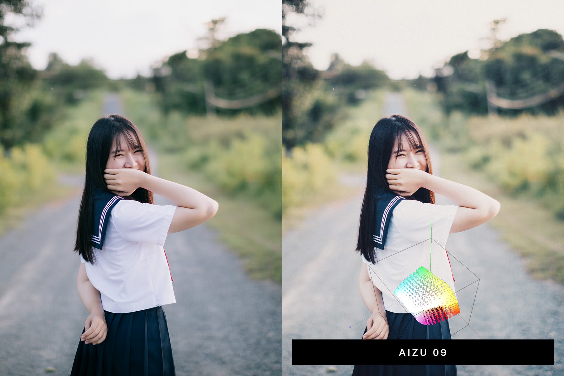 50款日本风格摄影Lightroom调色预设 50 Japan Mood Lightroom Presets LUTs插图(1)