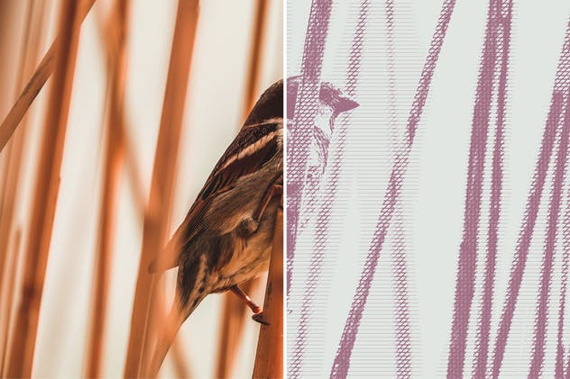 一键生成怀旧老照片效果PSD分层模板 Worn Press Photoshop Effects Kit插图(5)