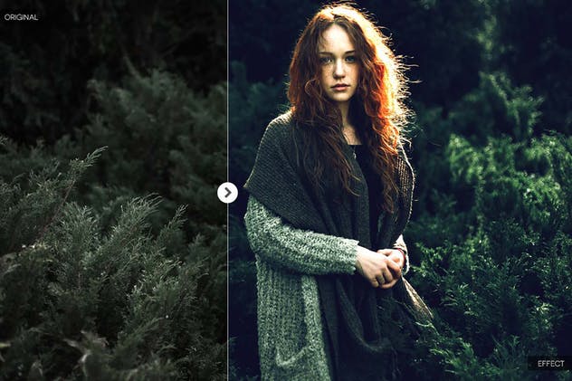 旅行摄影大师调色滤镜PS动作 Into The Jungle Photoshop Actions插图(4)