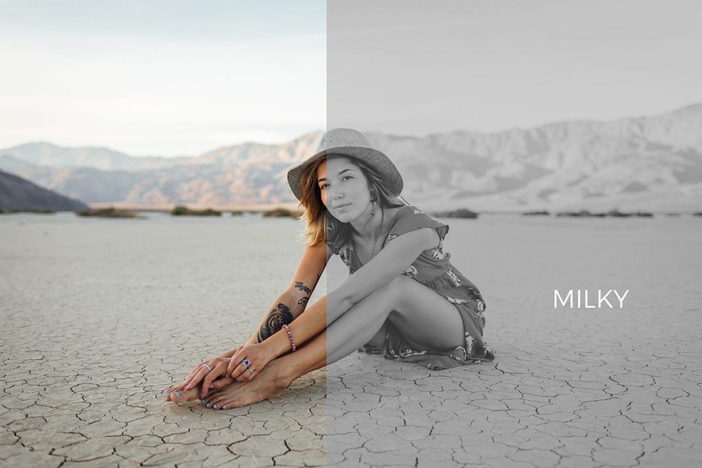 ﻿高品质黑白图像PS动作 Monochrome Bundle: 16 PS Actions插图(2)