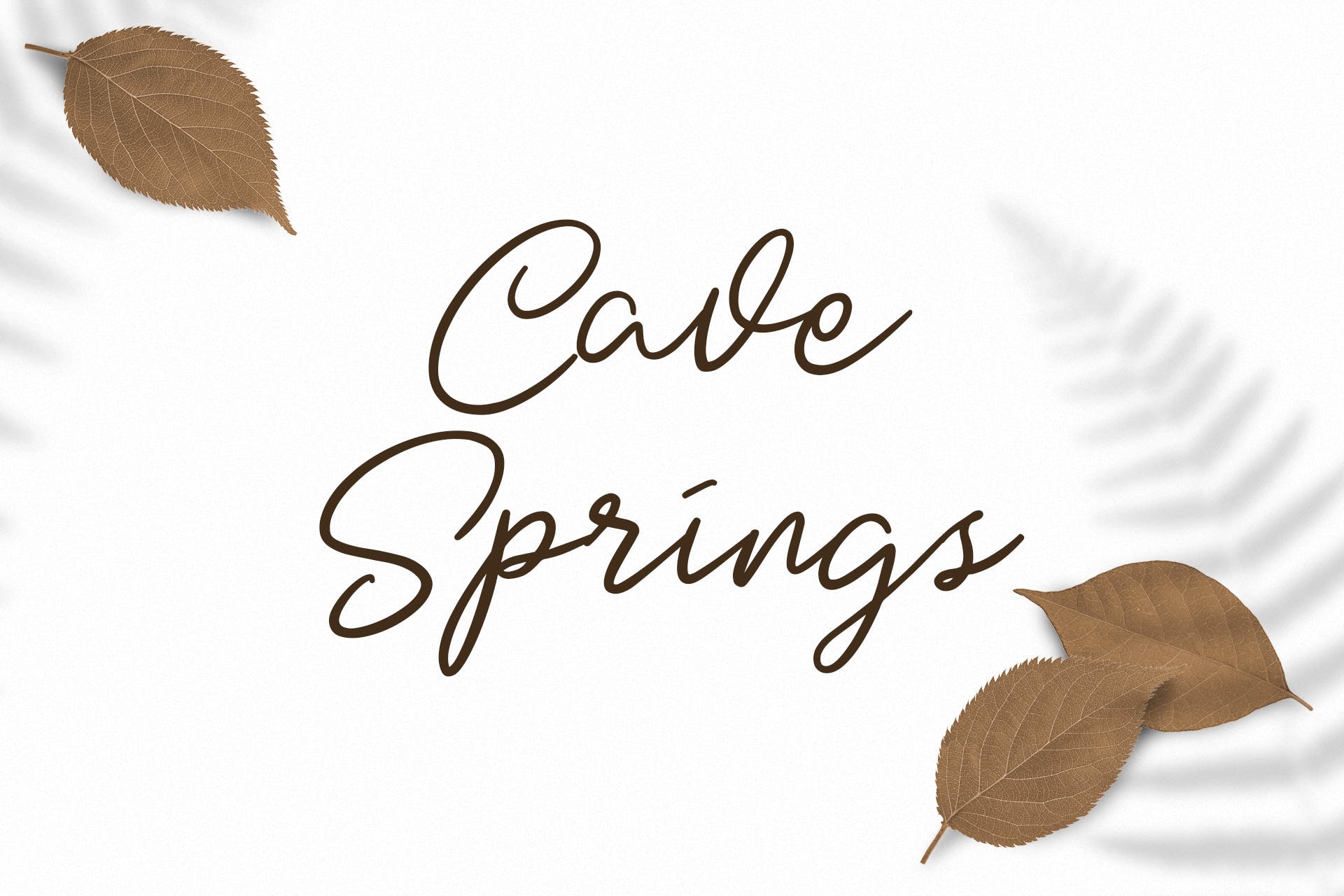 英文钢笔书法字体下载 Dotyville Script Font插图(1)