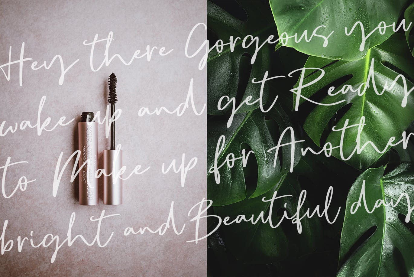 英文钢笔签名字体素材库精选&大写字母正楷字体素材库精选二重奏 Sophia Reign signature font duo插图(2)