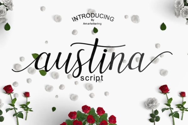 优雅线条手写英文脚本字体 Austina Script
