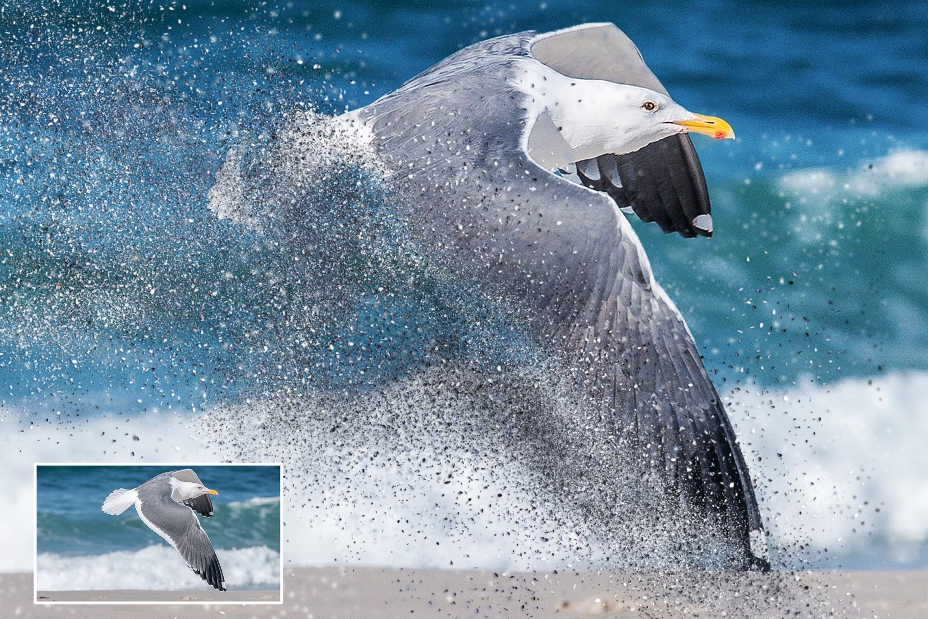 风化溶砂照片效果处理PS动作 Sand Dissolve插图(4)