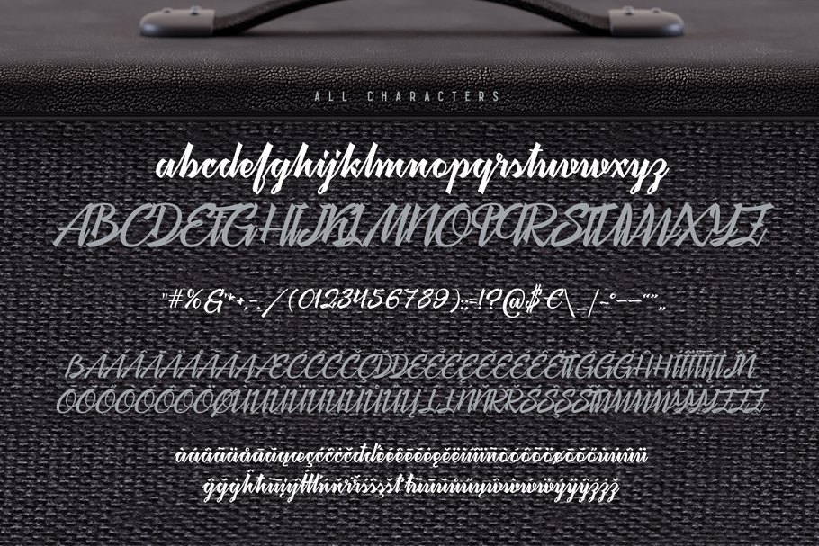 飘逸连笔英文草书字体 Megawatt script & mockup插图(3)