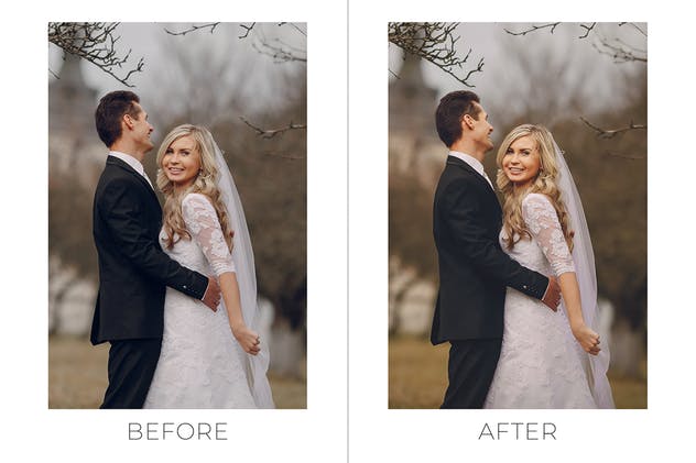 喜庆婚纱照片后期处理PS动作 Royal Wedding Pro Photoshop Actions插图(3)