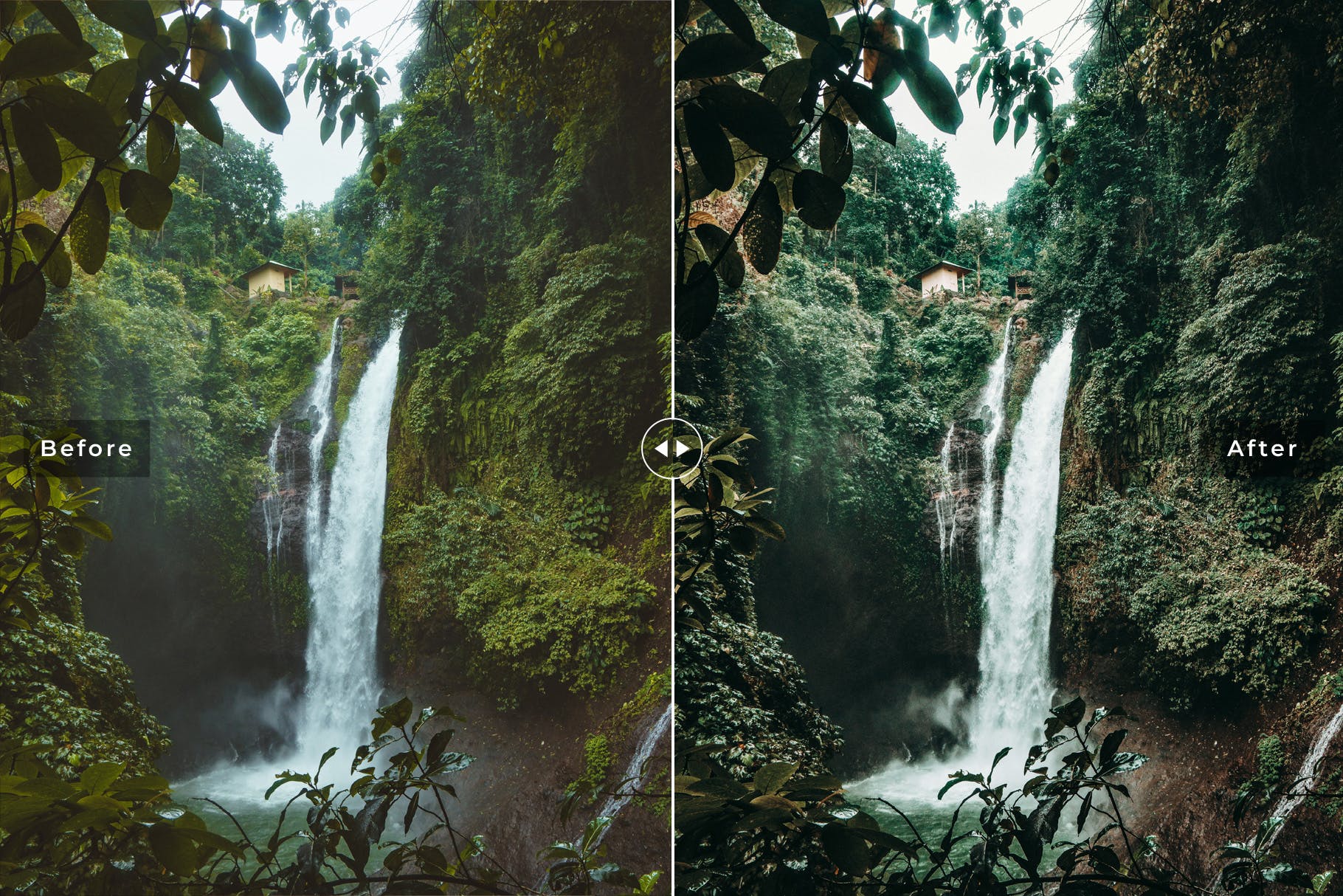 森林背景人像摄影后期处理调色滤镜LR预设 Forest Mobile & Desktop Lightroom Presets插图(2)