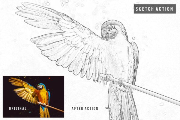 素描大师作品一键生成PS照片特效动作 Sketch Action