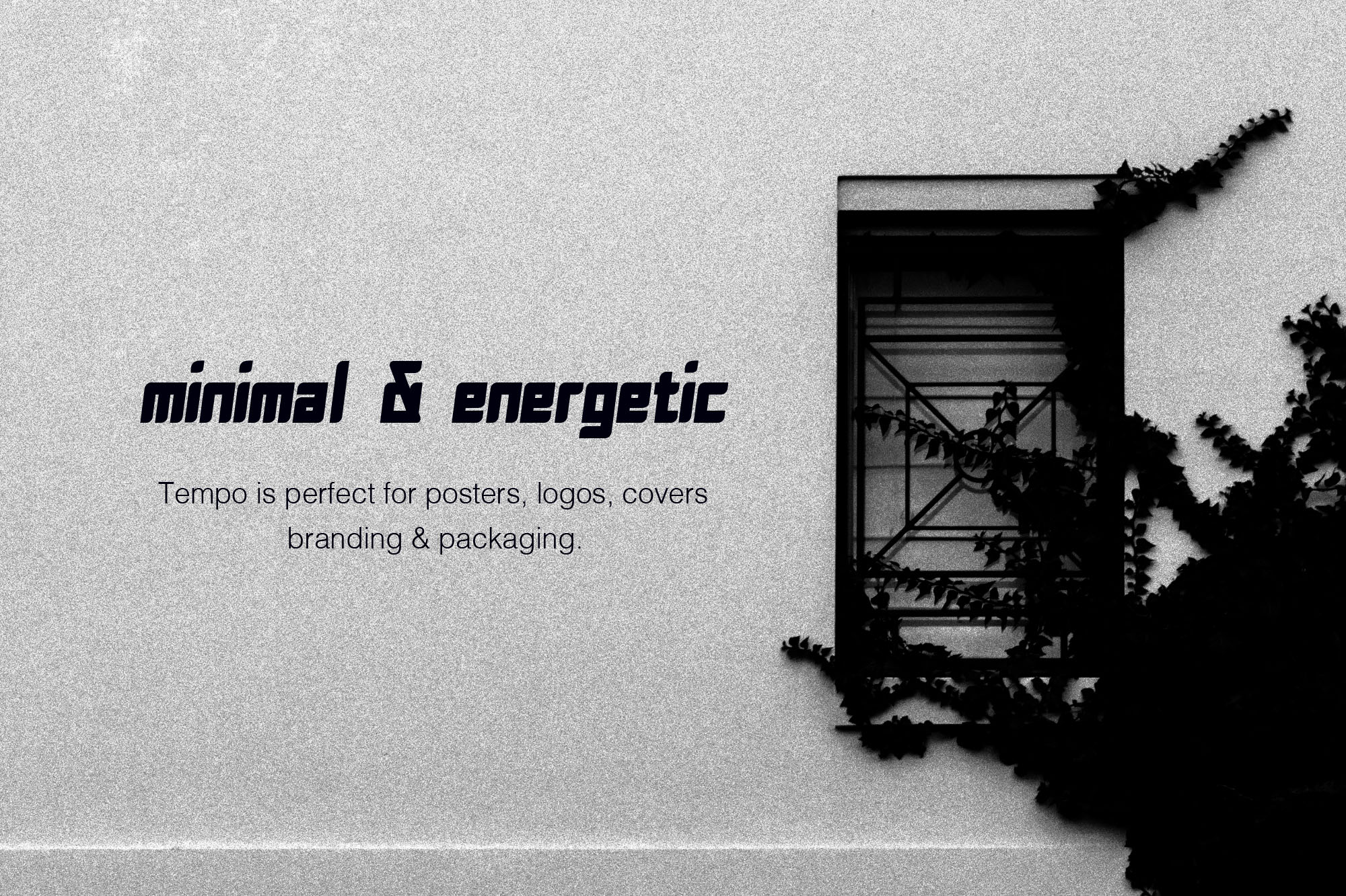 充满活力英文斜体无衬线字体 Tempo Energetic Typeface插图(4)