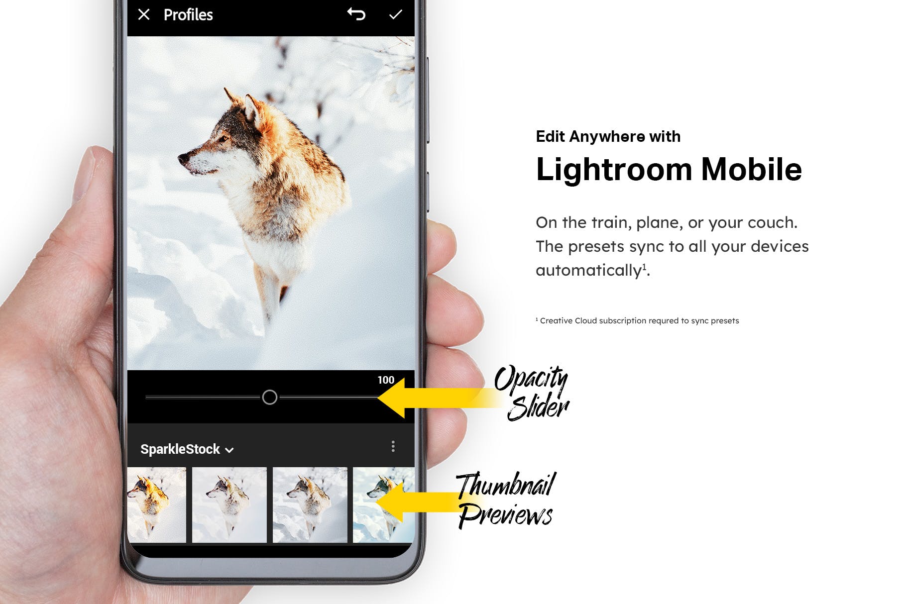 50款充满色彩的冬季风景照片LR调色预设合集 50 Winter Snowscape Lightroom Presets and LUTs插图(6)