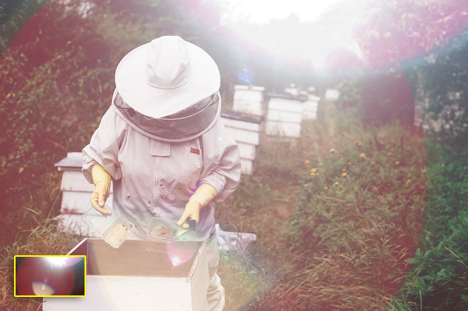 照片漏光特效模板 Sunlight-Captured Light Leaks插图(8)