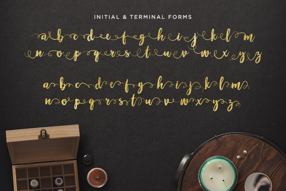 手写英文字体 Maloishe Brush Script Font(含网页字体)插图(2)