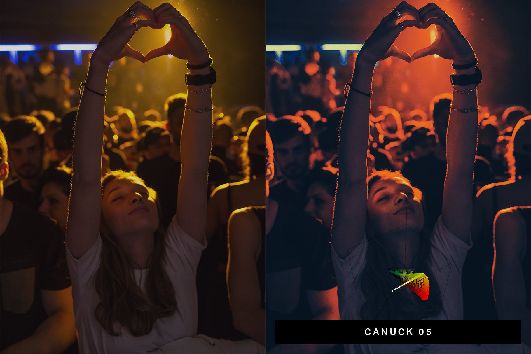 50款音乐节/演唱会等夜间表演场景照片素材库精选LR预设 50 Concert Lightroom Presets LUTs插图(3)