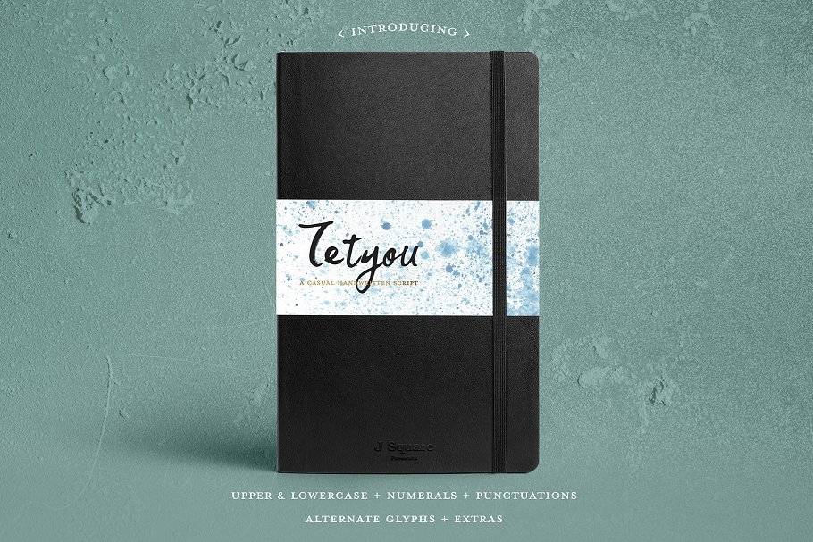 英文手写体字体+样机+笔刷 Tetyou Script + Mock up + Brushes插图