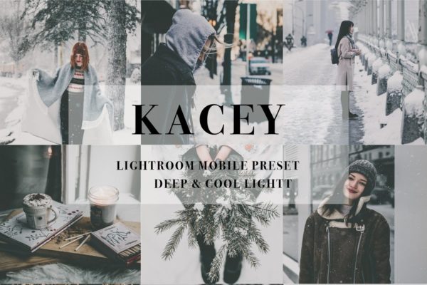 冬季时尚冷光效果Lightroom预设