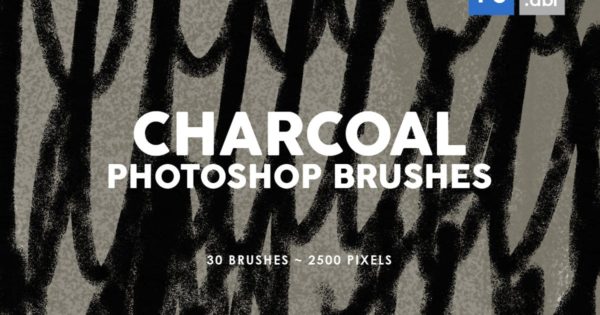 30款木炭纹理PS印章图案笔刷