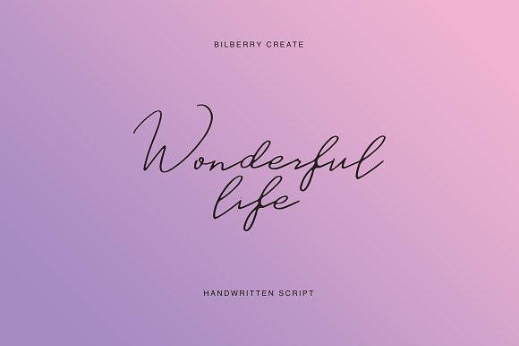 一款流畅优雅的手写字体 Wonderful life script插图