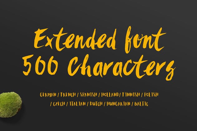 时尚/美容/食品/服装和杂志设计绝配手写英文字体 Sanös Extended Script Font插图(1)