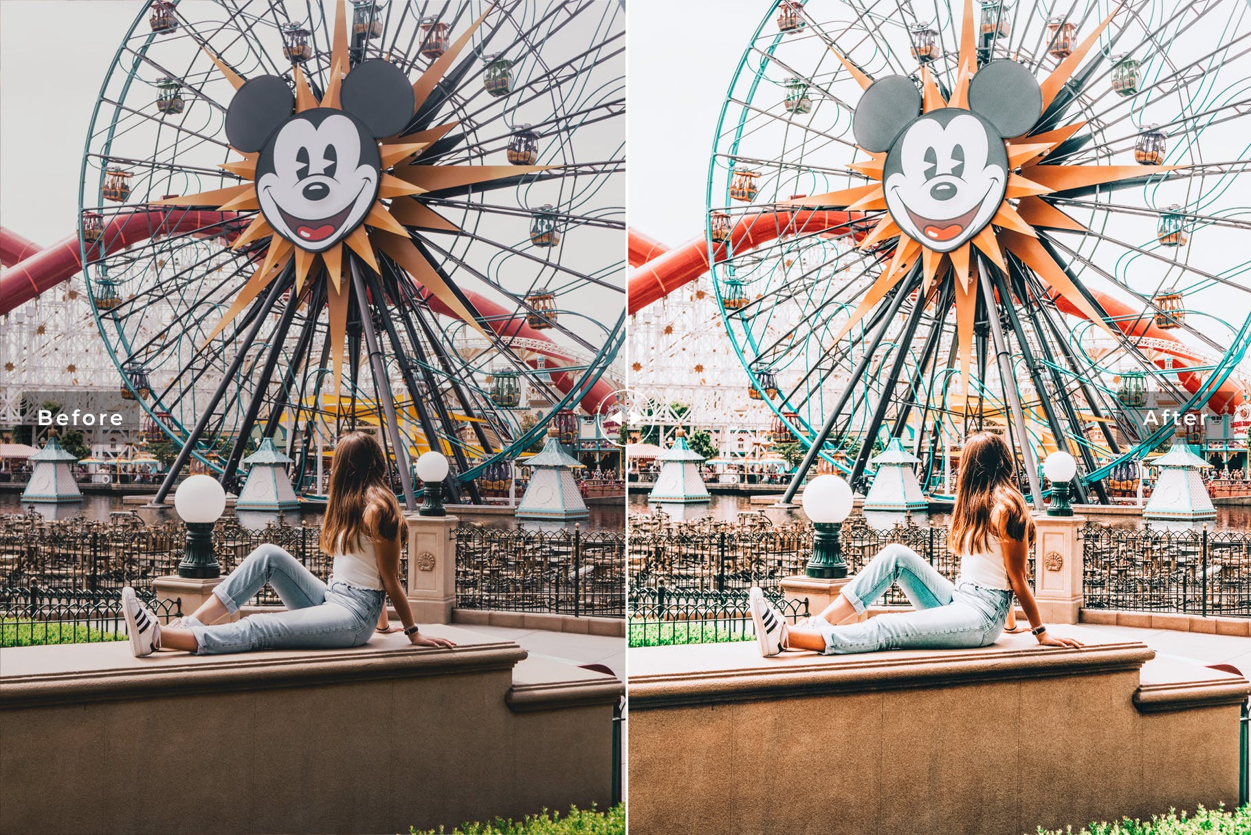 迪士尼乐园游玩摄影必备LR调色滤镜合集 Disneyland Mobile & Desktop Lightroom Presets插图(3)