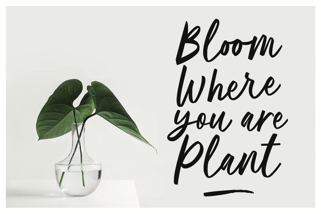 现代优雅书写风格英文手写字体 Ballerina | Script Font MS插图(1)