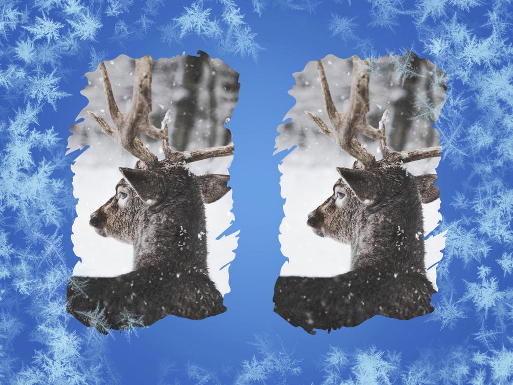 冬天雪花背景素材库精选Keynote模板下载 Hello Winter Keynote Template插图(12)