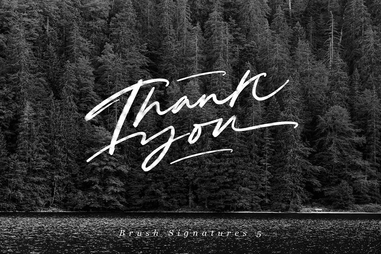 Procreate应用艺术书法字体笔刷合集插图(9)