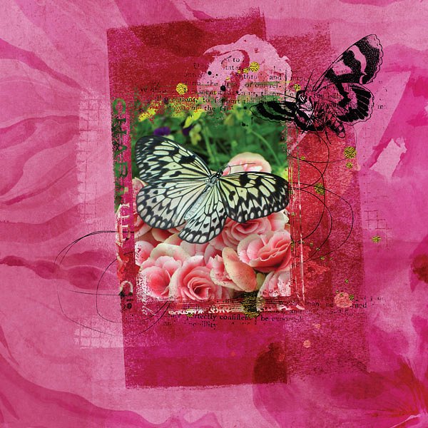 6个高品质的蝴蝶肌理效果PS笔刷下载[ABR]插图