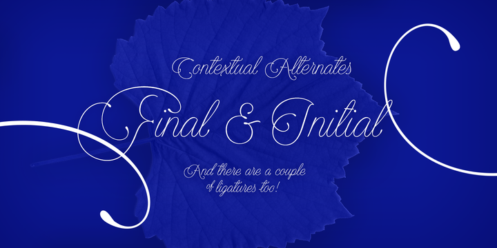 优雅自然英文书法字体 Encina Script Font Family插图(2)