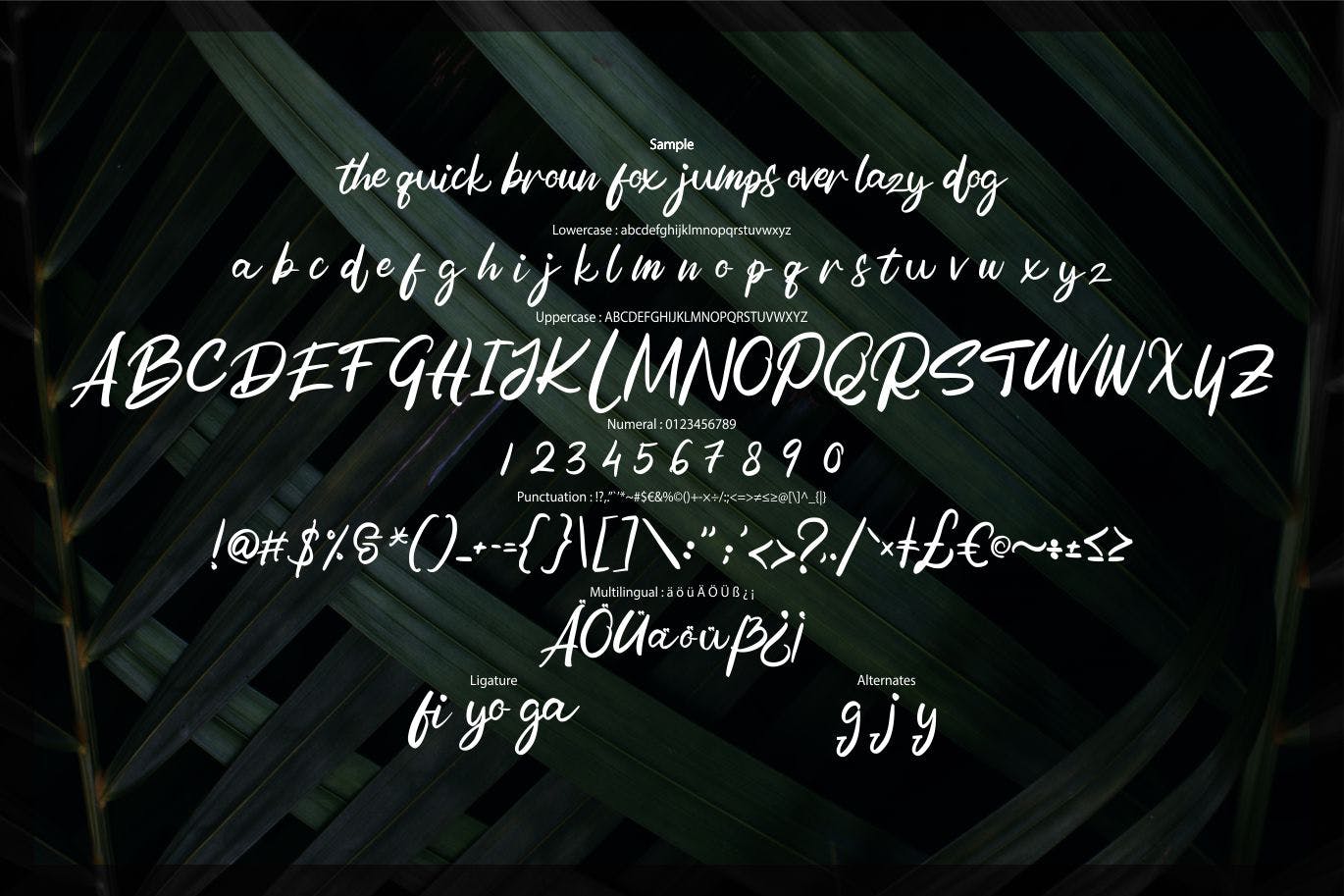 现代书法艺术英文粗体手写字体素材库精选 Rolest | Modern Bold Script Font插图(5)