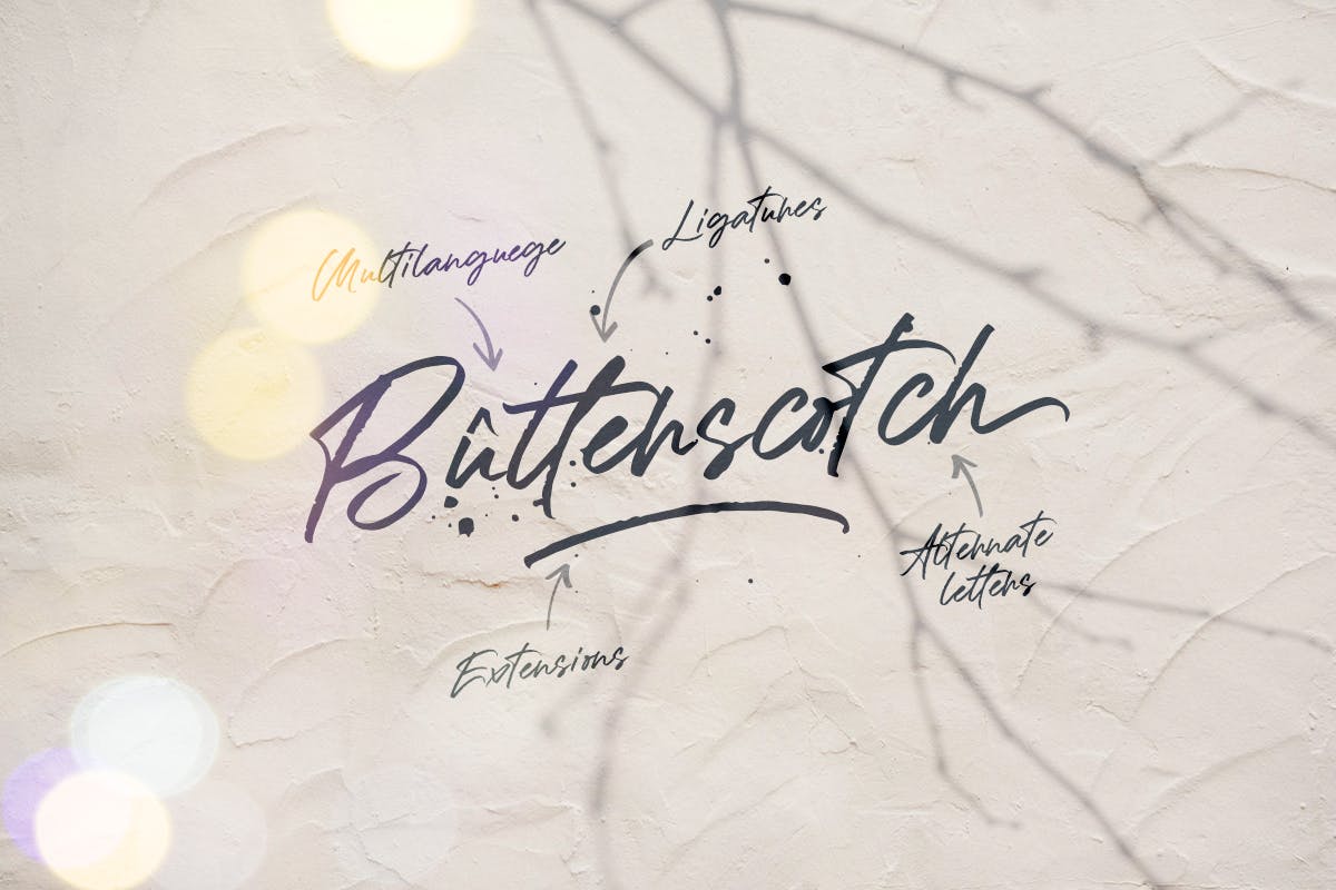 质朴精致英文笔刷手写字体 Formentor插图(12)