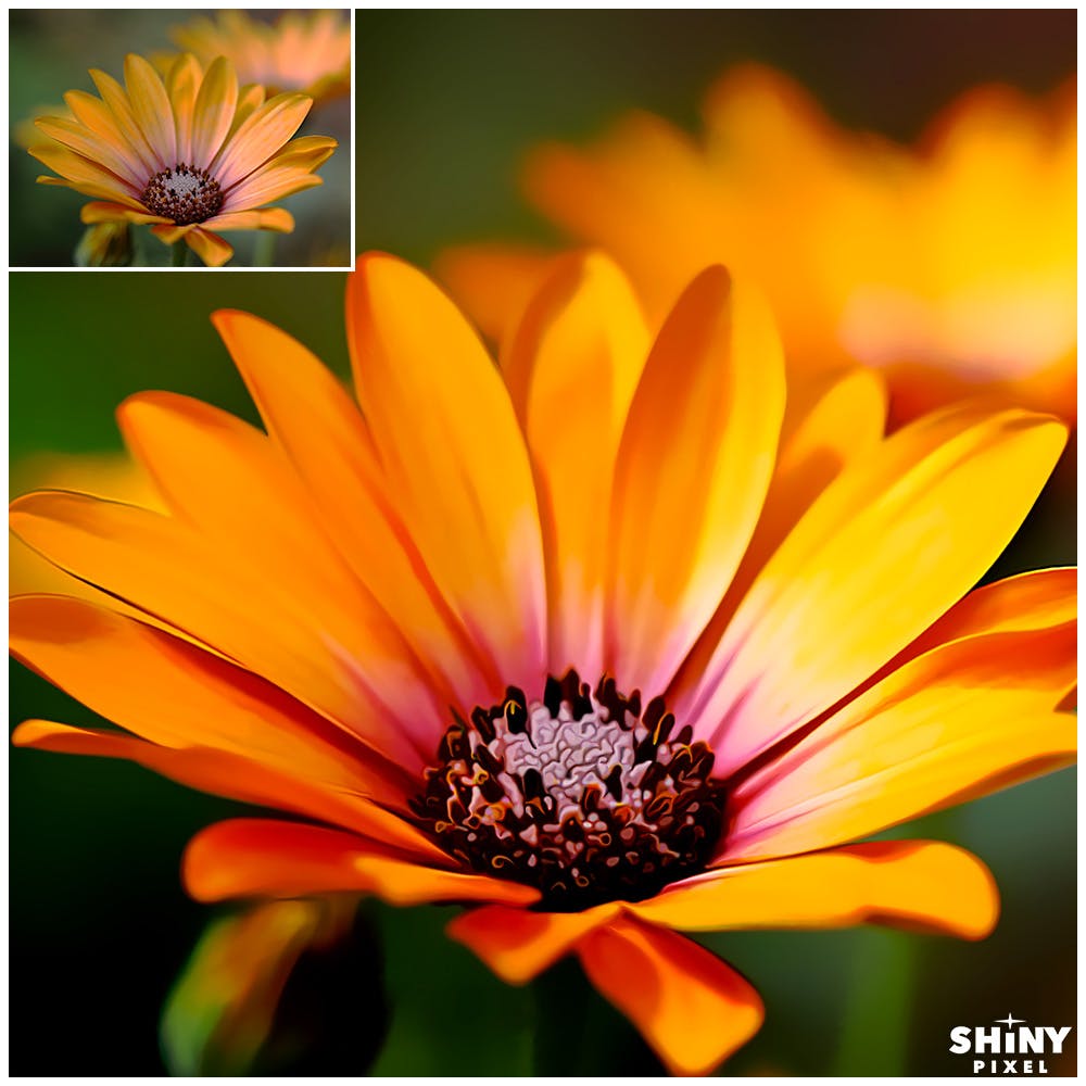 一键转油画效果PS动作 Smart Painting Effect for Photoshop插图(7)