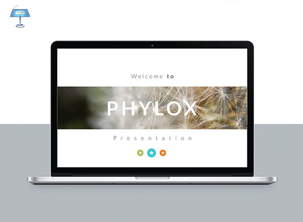 适用于代理机构或任何类型业务的现代简洁keynote演示文稿