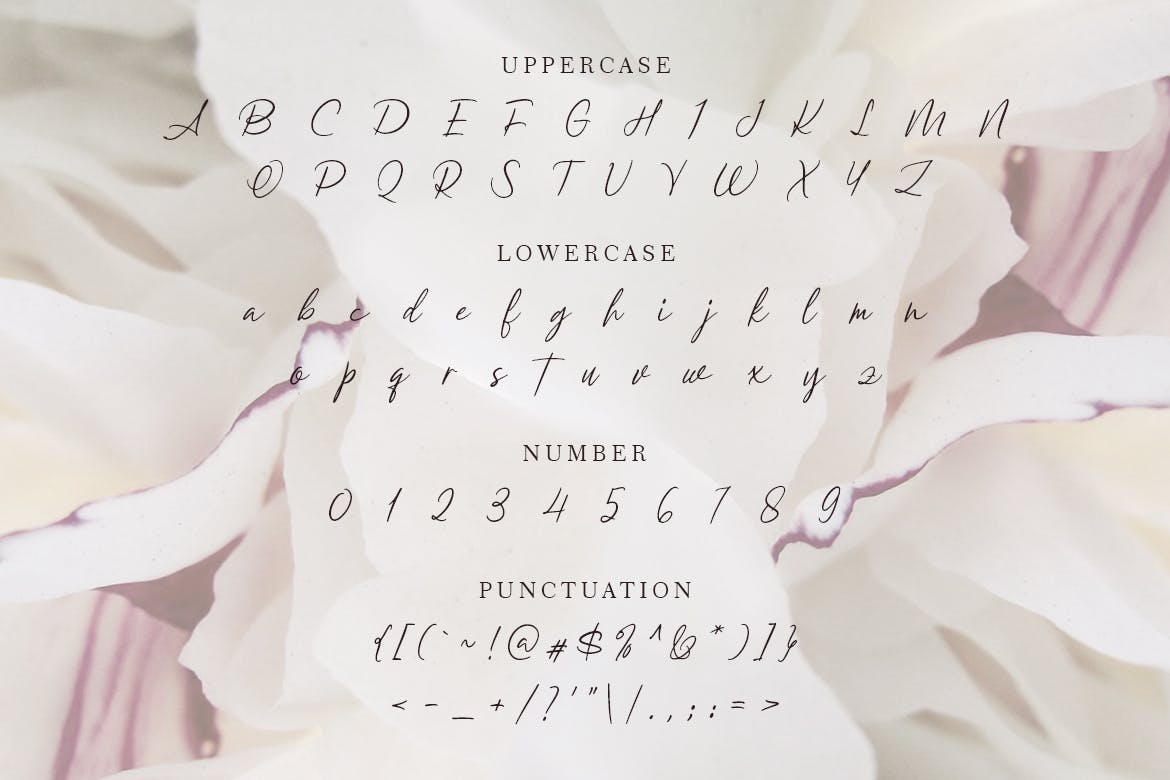 简约优雅英文钢笔书法字体 Barleymoon Beauty Script Font插图(4)