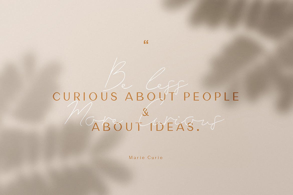 英文钢笔草书书法字体&无衬线字体合集 Marie Curie – Sans & Script插图(2)