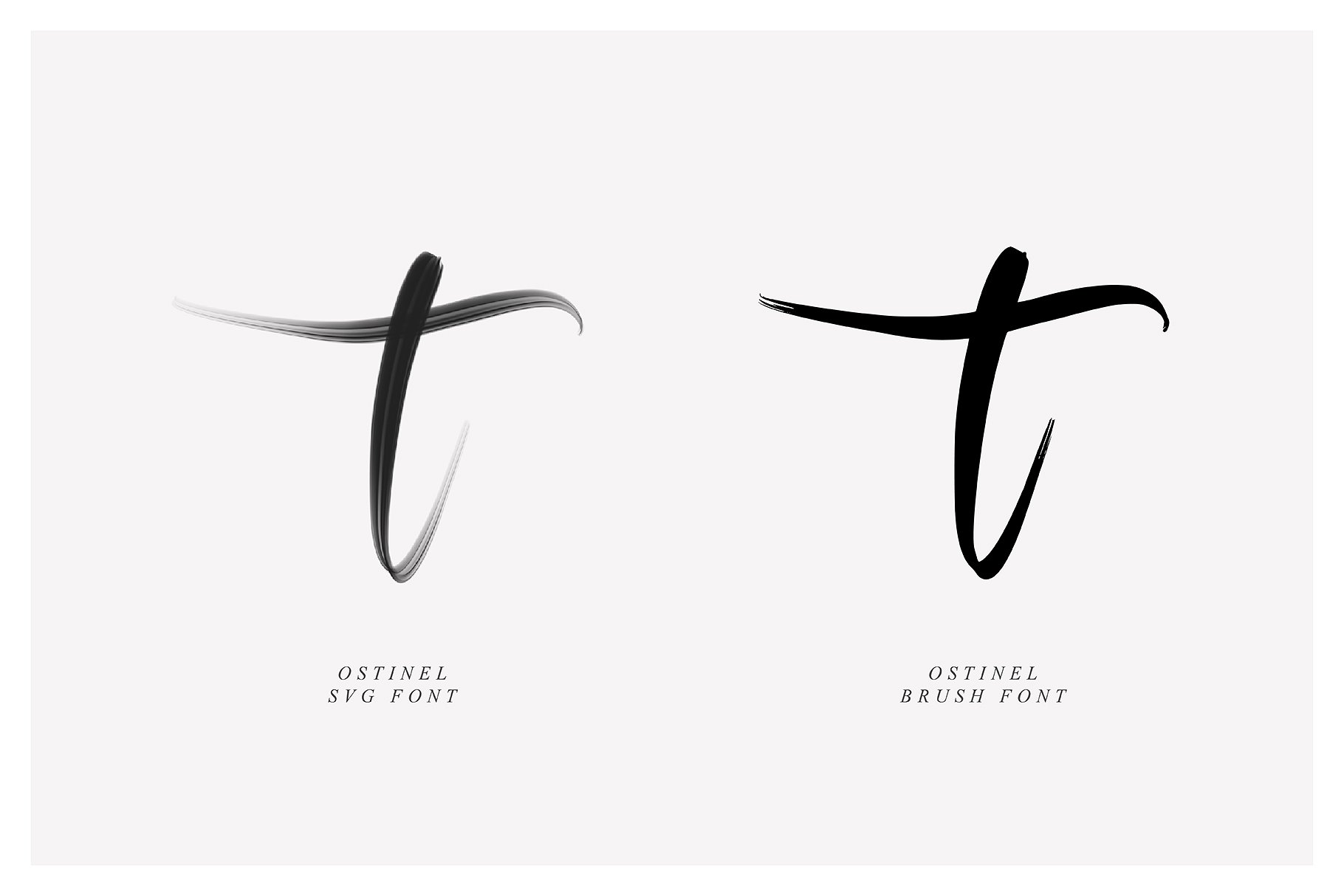 行云流水英文书法SVG画笔字体 Ostinel SVG Script Font插图(7)