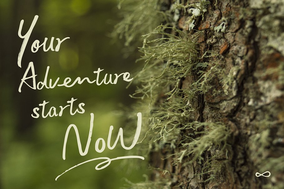 英文手写体字体+样机+笔刷 Tetyou Script + Mock up + Brushes插图(12)